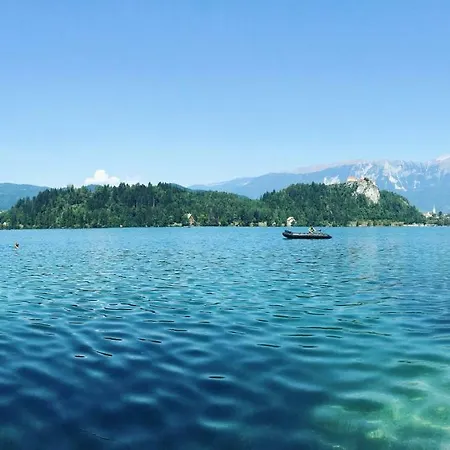 Center Bled