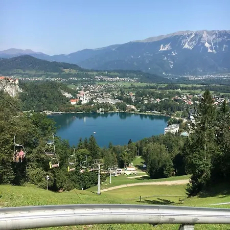 Center Bled