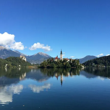 Center * Bled